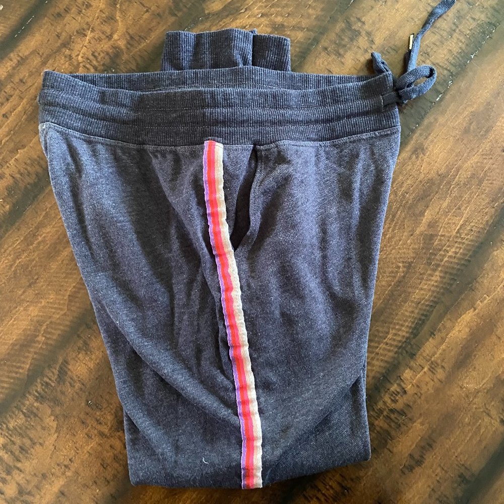 Sundry Sweatpants with Stripe Detailing